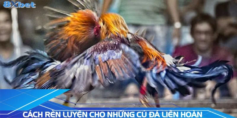 cach-ren-luyen-cho-nhung-chu-ga-lien-hoan