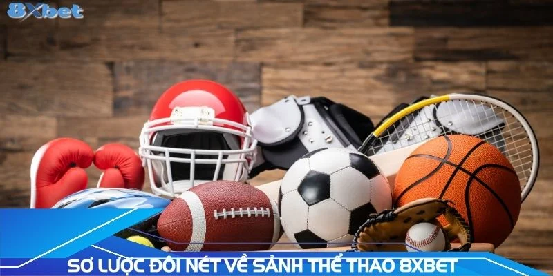 so-luoc-doi-net-ve-sanh-the-thao-8xbet