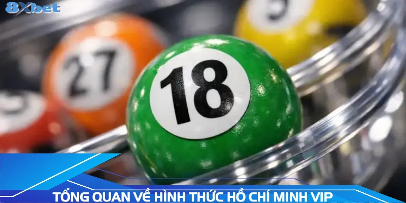 tong-quan-ve-hinh-thuc-ho-chi-minh-vip